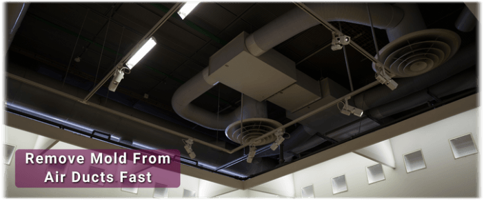 Air Duct Mold Removal in Newark NJ